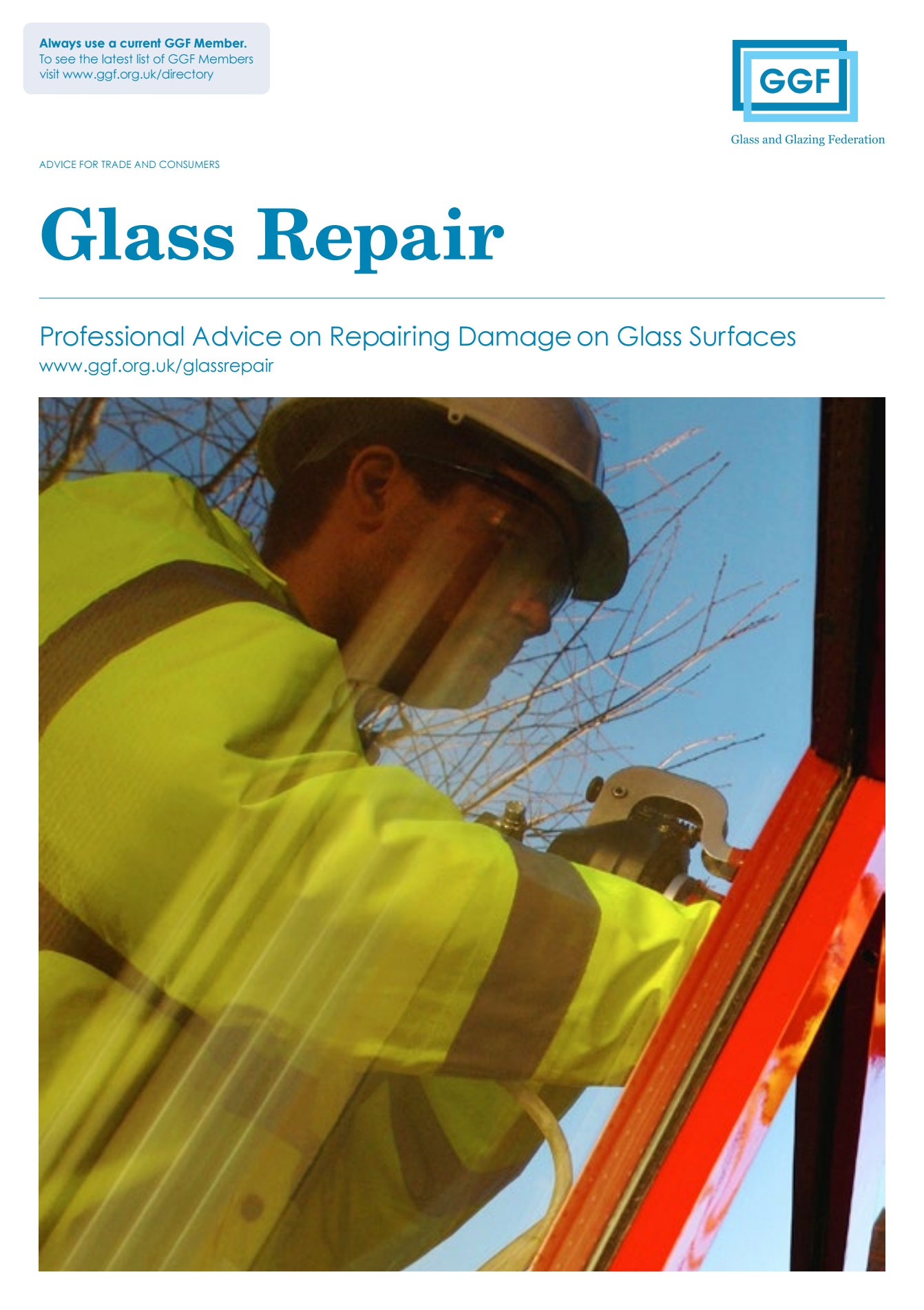 Glass Repair Ref (30.5) Glass and Glazing Federation