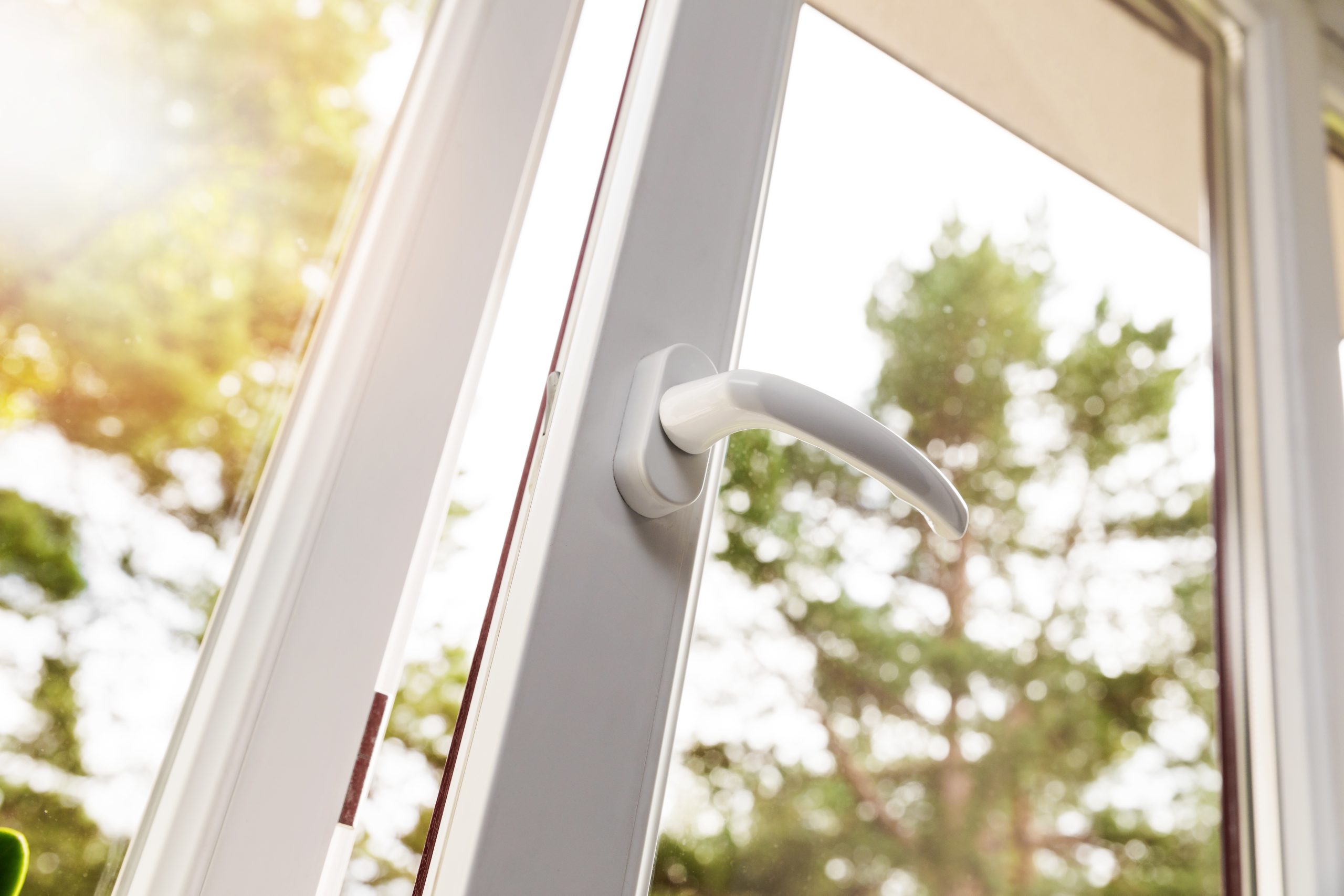 Windows & Doors