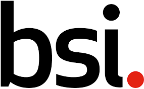 6528861 BSI
