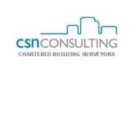 8039604 CSN Consulting LLP 2