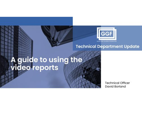 A guide to the video report
